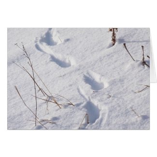 /Deers in the Snow