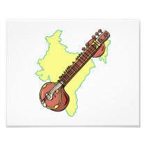 Het Snaarinstrument van Vina India van Rudra Fotografische Afdruk