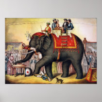 Het vintage Poster die van het Circus - olifant ui