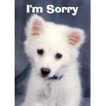 Sorry Kaarten