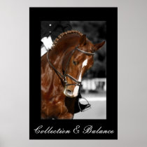Inzameling & Saldo Poster