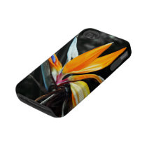 iPhone 4 van de bloem Taai Geval Tough Iphone 4 Hoesje