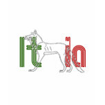 Italy Soccer T-shirts and gifts ideas