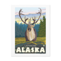 Kariboe in de Wildernis - Latouche, Alaska