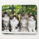 katjes in de tuin mousepad