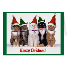 "Kerstmis Meowy!" Katten Wenskaart