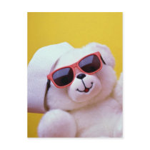 Koele teddybeer met sunglass