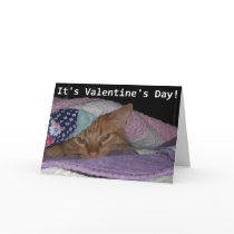 Kom nestelen zich de Valentijnskaart van de Kat