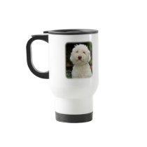 Lagotto Romagnolo 9M048D-19 Mok