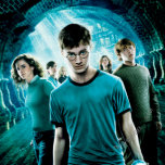 Harry Potter Magneten