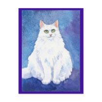 Leuke witte kat of katjesprentbriefkaar