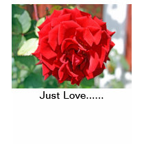 Liefde enkel ......