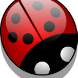 Lieveheersbeestje Magneten