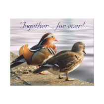 Mandarin eenden canvas afdruk