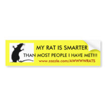 MIJN RAT IS SLIMMER, DAN DE MEESTE MENSEN…