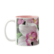 MOK - Roze Orchideeën Cymbidium