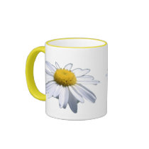MOOI MADELIEFJE - ASTERACEAE - ZONNEBLOEM