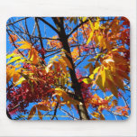 Mousepad - het gebladerte van de Herfst muismatten