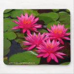Mousepad - Waterlelies bij het Park van Balboa van muismatten