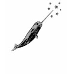 Narwhal, Unicorn of the Sea gray tee shirt