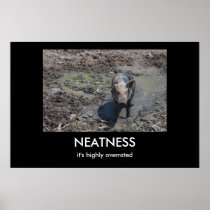 NEATNESS PLAAT