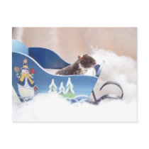 Noah van de hamster het sledding