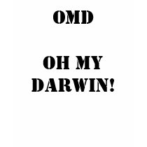 OMD