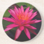 Onderzetter - roze waterlelie onderzetters