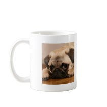 "Onschuldige" Pug Mok