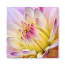 Openend Bloem - Magneet