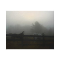 Paarden in de Mist