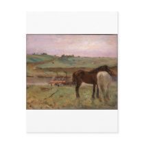 Paarden in een Weide