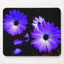 Paars en blauwe madeliefjes