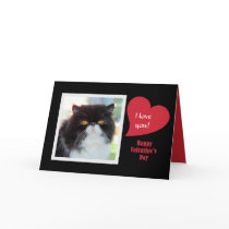 Perzische kat I houdt van u Valentijnskaart