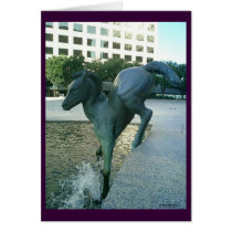 Poney