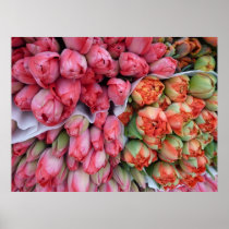 POSTER - Tulpen bij markt Lyon Frankrijk