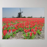 Poster van de Tulpen van de Windmolens van Popart 