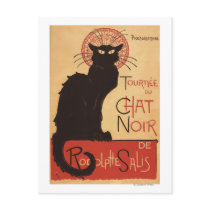 Poster van Promo van de Kat van de Groep van het C