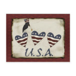 Amerikaanse