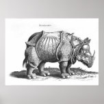 Rinoceros, van 'Historia Animalium Afdruk
