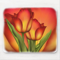 Rode en Gouden Tulpen