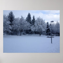 Schöne Landschaft Schnee Bäume Plakatdrucke