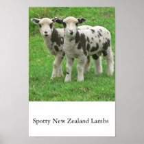 Spotty Lammeren NZ Print