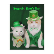 St. Patrick Kitties