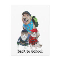 Terug naar School