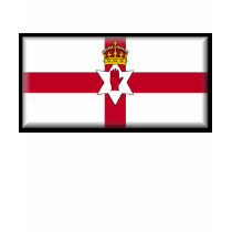 Ulster het Overhemd van het Polo