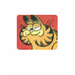 Vintage Garfield, het overhemd van vrouwen