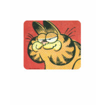 Vintage Garfield, het overhemd van vrouwen