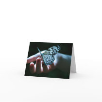 vlinder op hand