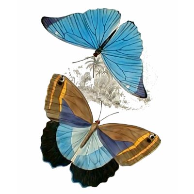Vlinders - Blauw door Memory_Lane